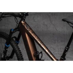 DYEDBRO Frame Protection Kit Flour E-BIKE - Black