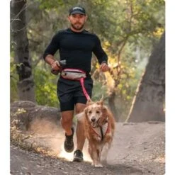 Nathan Sports K9 Runner's Waistbelt With Leash - Large - Vapor Blue/Lollipop -Fietsonderdelen nathan sports k9 runners large waistbelt with leash vapor blue lollipop 11 1028662