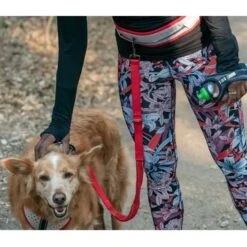 Nathan Sports K9 Runner's Waistbelt With Leash - Vapor Blue/Lollipop 25 Nathan Sports K9 Runner's Waistbelt With Leash - Vapor Blue/Lollipop -Fietsonderdelen nathan sports k9 runners waistbelt with leash vapor blue lollipop 21 1028592