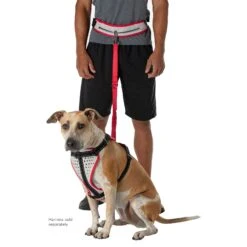 Nathan Sports K9 Runner's Waistbelt With Leash - Vapor Blue/Lollipop 22 Nathan Sports K9 Runner's Waistbelt With Leash - Vapor Blue/Lollipop -Fietsonderdelen nathan sports k9 runners waistbelt with leash vapor blue lollipop 9 1028589