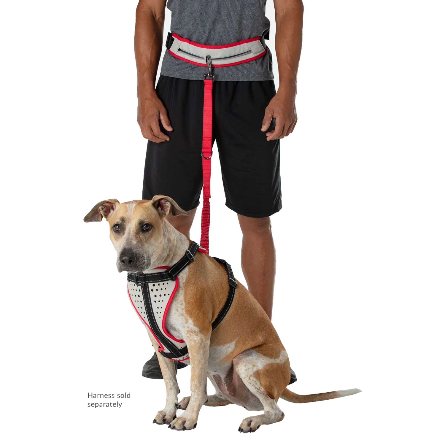 Nathan Sports K9 Runner's Waistbelt With Leash - Vapor Blue/Lollipop 11 Nathan Sports K9 Runner's Waistbelt With Leash - Vapor Blue/Lollipop - Afbeelding 9