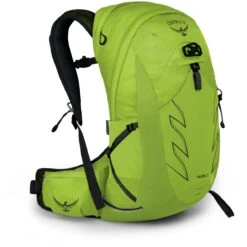 Osprey Talon 22 Rugzak - Limon Green - L/XL